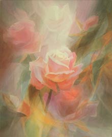 lcd pinkrose